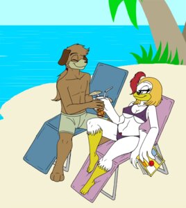 Rating: Questionable Score: 0 Tags: 3_toes anthro avian barefoot beak bikini bird canid canine canis chicken clothed clothing domestic_dog duo e621 eto_rangers feet female galliform male mammal phasianid pochiro skimpy swimming_trunks swimwear tart_(eto_rangers) toes two-piece_swimsuit unknown_artist User: bunchy7s