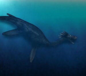 Rating: Safe Score: 0 Tags: aquatic bandai_namco black_and_blue blue_eyes blue_theme cool_colors digimon digimon_(species) digimonreach dinosaur e621 feral fin male monochrome open_mouth plesiomon prehistoric_species realistic reptile scalie solo teeth tongue underwater water User: bunchy7s