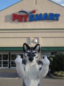 Rating: Safe Score: 0 Tags: 2010 3:4 anthro canid canine canis clothing costume domestic_dog e621 fursuit gesture grandfathered_content hand_gesture husky male mammal middle_finger nordic_sled_dog real solo spitz store yamihi_ookami yamihi_ookami_(character) User: bunchy7s