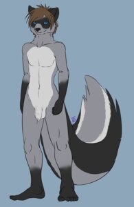 Rating: Explicit Score: 0 Tags: annubrius anthro balls biped blue_eyes brown_hair countershade_tail countershading e621 flaccid foreskin genitals hair hi_res looking_at_viewer male mammal markings nude penis pinup pose procyonid raccoon smile solo standing striped_markings striped_tail stripes sunn tail tail_markings User: bunchy7s