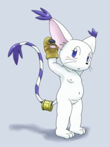 Rating: Explicit Score: 0 Tags: black_nose blue_eyes color digimon female female_only fur furry furry_ears furry_tail gatomon glove lowres open_eyes pointy_ears purple_fur pussy rule34 solo standing tail vulva white_fur User: bunchy7s Rating: Explicit Score: 0 Tags: black_nose blue_eyes color digimon female female_only fur furry furry_ears furry_tail gatomon glove lowres open_eyes pointy_ears purple_fur pussy rule34 solo standing tail vulva white_fur User: bunchy7s