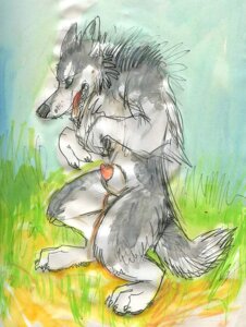 Rating: Explicit Score: 0 Tags: 4_toes animal_genitalia animal_penis anthro biped canid canine canine_genitalia canine_penis canis claws colored_sketch day e621 feet fur genitals grass grey_body grey_fur java male mammal nude open_mouth outside painting_(artwork) penis penis_tip plant sheath sketch sky solo standing tail toes traditional_media_(artwork) traditional_painting_(artwork) traditional_watercolor_(artwork) watercolor_(artwork) white_body white_fur wolf User: bunchy7s