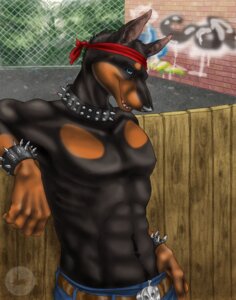 Rating: Safe Score: 0 Tags: abs accessory against_fence against_surface alley alternative_fashion anthro athletic belt biceps big_muscles black_collar blue_eyes bone bottomwear bracelet canid canine canis chain-link_fence clothed clothing collar corey denim denim_bottomwear denim_clothing digital_media_(artwork) dobermann domestic_dog e621 fence graffiti half-length_portrait headband jeans jewelry looking_at_viewer male mammal muscular muscular_anthro muscular_male pants pinscher pointy_ears portrait pose prick_ears punk sabretoothed_ermine skull solo spiked_bracelet spiked_collar spikes topless wristband User: bunchy7s Rating: Safe Score: 0 Tags: abs accessory against_fence against_surface alley alternative_fashion anthro athletic belt biceps big_muscles black_collar blue_eyes bone bottomwear bracelet canid canine canis chain-link_fence clothed clothing collar corey denim denim_bottomwear denim_clothing digital_media_(artwork) dobermann domestic_dog e621 fence graffiti half-length_portrait headband jeans jewelry looking_at_viewer male mammal muscular muscular_anthro muscular_male pants pinscher pointy_ears portrait pose prick_ears punk sabretoothed_ermine skull solo spiked_bracelet spiked_collar spikes topless wristband User: bunchy7s