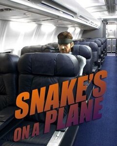 Rating: Safe Score: 0 Tags: 4:5 aircraft airplane beard clothing e621 english_text facial_hair grandfathered_content human human_only humor inside_plane kerchief konami lol_comments looking_at_viewer low_res male mammal metal_gear not_furry pun snakes_on_a_plane solid_snake solo text the_truth unknown_artist vehicle what User: bunchy7s