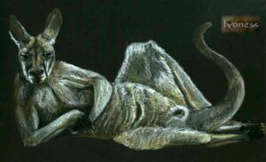 Rating: Explicit Score: 0 Tags: e621 female feral fur genitals kangaroo macropod mammal marsupial nude pouch_(anatomy) solo spera tail vulva User: bunchy7s Rating: Explicit Score: 0 Tags: e621 female feral fur genitals kangaroo macropod mammal marsupial nude pouch_(anatomy) solo spera tail vulva User: bunchy7s