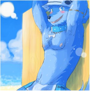Rating: Questionable Score: 0 Tags: anthro armpit_hair beach beau_(bo-gilliam) beaugilliam blush bodily_fluids body_hair canid canine canis clothed clothing cloud collar collar_tag detailed_background domestic_dog e621 male mammal outside sand seaside sky solo speedo sweat swimwear topless underwear water User: bunchy7s