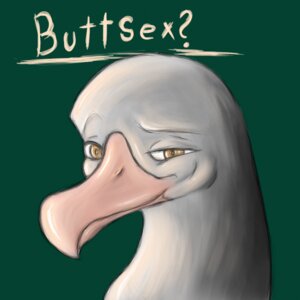 Rating: Questionable Score: 0 Tags: 1:1 2009 anthro avian beak bird colored_sketch dialogue digital_media_(artwork) e621 english_text eyebrows front_view green_background headshot_portrait hi_res icon male meme nyar portrait question raised_eyebrow simple_background sketch smile smirk solo text User: bunchy7s