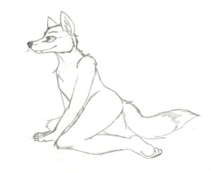 Rating: Safe Score: 0 Tags: anthro biped black_and_white canid canine e621 fenchfletcher kneeling male mammal monochrome nude sketch solo tail traditional_media_(artwork) User: bunchy7s Rating: Safe Score: 0 Tags: anthro biped black_and_white canid canine e621 fenchfletcher kneeling male mammal monochrome nude sketch solo tail traditional_media_(artwork) User: bunchy7s