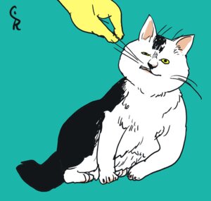 Rating: Safe Score: 0 Tags: 2009 ambiguous_gender black_body black_fur digital_drawing_(artwork) digital_media_(artwork) disembodied_hand domestic_cat duo e621 felid feline felis feral full-length_portrait fur kiki-uma mammal portrait simple_background solo_focus teal_background unimpressed whiskers white_body white_fur yellow_eyes User: bunchy7s Rating: Safe Score: 0 Tags: 2009 ambiguous_gender black_body black_fur digital_drawing_(artwork) digital_media_(artwork) disembodied_hand domestic_cat duo e621 felid feline felis feral full-length_portrait fur kiki-uma mammal portrait simple_background solo_focus teal_background unimpressed whiskers white_body white_fur yellow_eyes User: bunchy7s