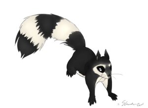 Rating: Safe Score: 0 Tags: 2011 ambiguous_gender e621 feral hybrid mammal markings oonami pose procyonid raccoon ring_(marking) ringed_tail rodent sciurid simple_background sketch solo standing striped_markings striped_tail stripes tail tail_markings tar_tuft tree_squirrel white_background User: bunchy7s