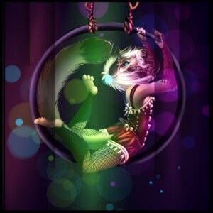 Rating: Safe Score: 0 Tags: 1:1 acrobatics anthro circle clothing domestic_ferret e621 female fishnet_clothing hi_res ligax mammal mustelid musteline solo tail true_musteline weasel User: bunchy7s
