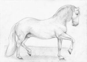 Rating: Explicit Score: 0 Tags: 2013 animal_genitalia black_sclera e621 equid equine feral foxia fully_sheathed genitals greyscale hair hooves horse male mammal monochrome quadruped sheath simple_background solo tail traditional_media_(artwork) walking white_background User: bunchy7s
