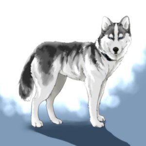 Rating: Safe Score: 0 Tags: 1:1 ayaka black_nose blue_eyes canid canine canis collar cool_colors countershading digitigrade domestic_dog e621 feral fur grey_body grey_fur husky looking_aside looking_at_viewer male mammal nordic_sled_dog quadruped realistic side_view solo spitz tail unavailable_at_source whiskers white_body white_fur User: bunchy7s Rating: Safe Score: 0 Tags: 1:1 ayaka black_nose blue_eyes canid canine canis collar cool_colors countershading digitigrade domestic_dog e621 feral fur grey_body grey_fur husky looking_aside looking_at_viewer male mammal nordic_sled_dog quadruped realistic side_view solo spitz tail unavailable_at_source whiskers white_body white_fur User: bunchy7s