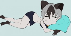 Rating: Safe Score: 0 Tags: ailin blue_background domestic_cat e621 eyes_closed felid feline felis female mammal simple_background sleeping solo yurr User: bunchy7s