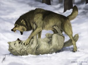 Rating: Safe Score: 0 Tags: 2008 blue_eyes bodily_fluids canid canine canis claws colored detailed_background dominant duo e621 fangs feet feral fight forest fur hindpaw inner_ear_fluff lying male mammal maria_anisimova northwestern_wolf on_back outside paws plant raised_tail saliva snarling snow tail teeth tree tuft white_body white_fur winter wolf wood yellow_eyes User: bunchy7s Rating: Safe Score: 0 Tags: 2008 blue_eyes bodily_fluids canid canine canis claws colored detailed_background dominant duo e621 fangs feet feral fight forest fur hindpaw inner_ear_fluff lying male mammal maria_anisimova northwestern_wolf on_back outside paws plant raised_tail saliva snarling snow tail teeth tree tuft white_body white_fur winter wolf wood yellow_eyes User: bunchy7s