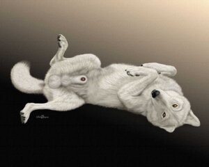 Rating: Explicit Score: 0 Tags: 5:4 anatomically_correct anatomically_correct_genitalia anatomically_correct_penis animal_genitalia arctic_wolf balls canid canine canis claws digitigrade e621 ebon_lupus feral fur genitals knot knot_in_sheath lipsticking looking_at_viewer lying male mammal on_back penis penis_tip photorealism quadruped realistic sheath signature simple_background solo spread_legs spreading tail urethra white_body white_fur wolf User: bunchy7s