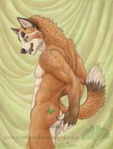 Rating: Safe Score: 0 Tags: 2010 5_fingers anthro biped black_body black_fur black_nose brown_body brown_fur butt canid canine canis detailed dipstick_tail domestic_dog e621 fingerless_(marking) fingers fur ginko_dog green_eyes inner_ear_fluff looking_aside looking_at_viewer male mammal markings multicolored_tail muscular muscular_anthro muscular_male nude open_mouth open_smile orange_body orange_fur raised_tail smile solo standing tail tail_markings teeth tuft User: bunchy7s
