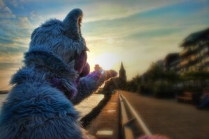 Rating: Safe Score: 0 Tags: 2010 acesheperd anthro canid canine canis clothing costume detailed_background e621 fursuit grandfathered_content keenora lens_flare male mammal noodle_soup photography_(artwork) real scenery solo sunset wolf User: bunchy7s