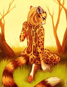 Rating: Safe Score: 0 Tags: 2012 4_toes 5_fingers anthro arashigato biped black_body black_fur black_spots black_stripes black_tail blonde_hair butt casual_nudity colored_nails day detailed_background digital_media_(artwork) digital_painting_(artwork) digitigrade e621 eyebrows eyelashes falvie feet felid feline female fingers fur gloves_(marking) grass hair hindpaw humanoid_feet humanoid_hands kiety kneeling leopardus light long_hair looking_aside looking_down makeup mammal markings mascara multicolored_body multicolored_fur multicolored_tail nails nature nude ocelot orange_body orange_eyes orange_fur orange_spots orange_stripes orange_tail orange_theme outside painting_(artwork) pawpads paws pink_nose pink_pawpads plant plantigrade scenery signature sky slim smile snout soles solo spots spotted_body spotted_fur striped_body striped_fur striped_markings striped_tail stripes sunlight tail tail_markings toes tree warm_colors white_body white_fur white_nails white_tail wood yellow_body yellow_fur yellow_stripes yellow_tail User: bunchy7s Rating: Safe Score: 0 Tags: 2012 4_toes 5_fingers anthro arashigato biped black_body black_fur black_spots black_stripes black_tail blonde_hair butt casual_nudity colored_nails day detailed_background digital_media_(artwork) digital_painting_(artwork) digitigrade e621 eyebrows eyelashes falvie feet felid feline female fingers fur gloves_(marking) grass hair hindpaw humanoid_feet humanoid_hands kiety kneeling leopardus light long_hair looking_aside looking_down makeup mammal markings mascara multicolored_body multicolored_fur multicolored_tail nails nature nude ocelot orange_body orange_eyes orange_fur orange_spots orange_stripes orange_tail orange_theme outside painting_(artwork) pawpads paws pink_nose pink_pawpads plant plantigrade scenery signature sky slim smile snout soles solo spots spotted_body spotted_fur striped_body striped_fur striped_markings striped_tail stripes sunlight tail tail_markings toes tree warm_colors white_body white_fur white_nails white_tail wood yellow_body yellow_fur yellow_stripes yellow_tail User: bunchy7s