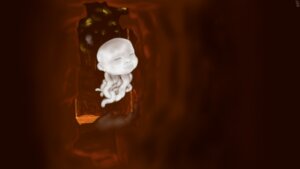 Rating: Safe Score: 0 Tags: 16:9 ambiguous_gender creepy demon digital_media_(artwork) e621 ghast_(minecraft) hell hi_res lava microsoft minecraft mojang mot solo spirit tentacles the_nether_(minecraft) what what_has_science_done white_body widescreen xbox_game_studios User: bunchy7s