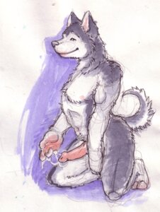 Rating: Explicit Score: 0 Tags: anthro bodily_fluids canid canine canis cum domestic_dog e621 erection genital_fluids genitals husky male mammal nitrogen nordic_sled_dog nude painting_(artwork) penis solo spitz tail traditional_media_(artwork) traditional_painting_(artwork) traditional_watercolor_(artwork) watercolor_(artwork) User: bunchy7s