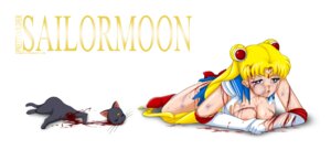 Rating: Explicit Score: 0 Tags: bishoujo_senshi_sailor_moon blood breasts clothing decapitation female feral fur gore luna_(sailor_moon) rule34 s2x sailor_moon skirt small_breasts tagme usagi_tsukino User: bunchy7s Rating: Explicit Score: 0 Tags: bishoujo_senshi_sailor_moon blood breasts clothing decapitation female feral fur gore luna_(sailor_moon) rule34 s2x sailor_moon skirt small_breasts tagme usagi_tsukino User: bunchy7s