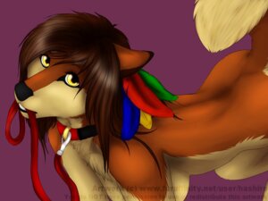 Rating: Questionable Score: 0 Tags: 4:3 akita anthro bdsm begging brown_body brown_fur brown_hair canid canine canis collar domestic_dog e621 feathers female fur hair hashire hashire_(character) high-angle_view hybrid leash leash_in_mouth mammal object_in_mouth petplay roleplay solo spitz submissive wolf yellow_eyes User: bunchy7s
