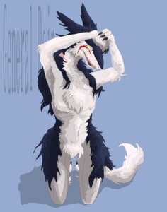 Rating: Safe Score: 0 Tags: ambiguous_gender anthro blue_background e621 front_view mammal nude pose rain_silves sergal simple_background solo tail to-be 飛部 User: bunchy7s
