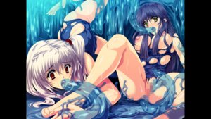 Rating: Explicit Score: 0 Tags: 2girls all_the_way_through bad_feet barefoot breasts clothing feet female game_cg goo long_hair multiple_females multiple_girls open_mouth oral penetration pussy red_eyes restrained rule34 slime slime_monster spread_legs tears tentacle torn_clothes vaginal_penetration yellow_eyes zanjibaru User: bunchy7s