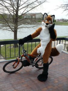 Rating: Safe Score: 0 Tags: 3:4 anthro bicycle canid canine church clothing costume cycling e621 fence fox fursuit grandfathered_content hi_res jimdalefox male mammal mountain_bike outside photography_(artwork) plant real sky snout solo tree unknown_artist vehicle water whiskers wood yellow_eyes User: bunchy7s