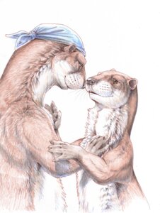 Rating: Safe Score: 0 Tags: ambiguous_gender brown_body brown_eyes brown_fur claws clothing colored_pencil_(artwork) duo e621 eye_contact feral fur headgear headkerchief headwear hibbary hug kerchief looking_at_another mammal multicolored_body multicolored_fur mustelid otter romantic romantic_couple simple_background size_difference smile traditional_media_(artwork) two_tone_body two_tone_fur whiskers white_background white_body white_fur User: bunchy7s Rating: Safe Score: 0 Tags: ambiguous_gender brown_body brown_eyes brown_fur claws clothing colored_pencil_(artwork) duo e621 eye_contact feral fur headgear headkerchief headwear hibbary hug kerchief looking_at_another mammal multicolored_body multicolored_fur mustelid otter romantic romantic_couple simple_background size_difference smile traditional_media_(artwork) two_tone_body two_tone_fur whiskers white_background white_body white_fur User: bunchy7s