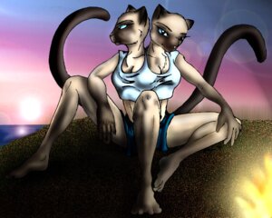 Rating: Safe Score: 0 Tags: 2_heads 3_breasts anthro breasts colorpoint conjoined conjoined_twins domestic_cat duo e621 felid feline felis female mammal multi_breast multi_head multi_limb oriental_shorthair siamese_cat snout sonique tail User: bunchy7s