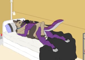Rating: Explicit Score: 0 Tags: amalgam anthro anthro_on_anthro barely_visible_genitalia barely_visible_penis bed breasts canid canine canis domestic_dog duo e621 faceless_character faceless_male female female_anthro female_penetrated from_front_position furniture genitals german_shepherd herding_dog inside koosh koosh-ball leg_wrap love lying male male/female male_anthro male_penetrating male_penetrating_female mammal missionary_position nude nude_anthro on_back on_bed pastoral_dog penetration penile penile_penetration penis penis_in_vagina riley_(koosh-ball) sex side_boob tail tasteful vaginal vaginal_penetration User: bunchy7s