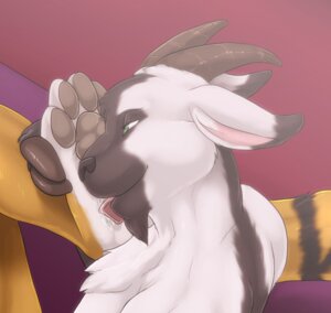 Rating: Questionable Score: 0 Tags: 4_toes anthro anthro_on_anthro beard bodily_fluids bovid brown_nose caprine chest_tuft digital_media_(artwork) drool_on_feet duo e621 facial_hair feet foot_fetish foot_focus foot_grab foot_lick foot_play fur furryratchet goat goatee green_eyes gregory_klippenspringer hair hi_res hindpaw horn licking light male mammal orange_body orange_fur pawpads paws saliva simple_background toes tongue tongue_out tuft vercursar white_body white_fur User: bunchy7s Rating: Questionable Score: 0 Tags: 4_toes anthro anthro_on_anthro beard bodily_fluids bovid brown_nose caprine chest_tuft digital_media_(artwork) drool_on_feet duo e621 facial_hair feet foot_fetish foot_focus foot_grab foot_lick foot_play fur furryratchet goat goatee green_eyes gregory_klippenspringer hair hi_res hindpaw horn licking light male mammal orange_body orange_fur pawpads paws saliva simple_background toes tongue tongue_out tuft vercursar white_body white_fur User: bunchy7s