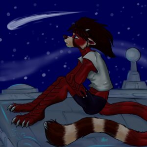 Rating: Safe Score: 0 Tags: 1:1 2009 aeryn_ranveri aerynoustinne ailurid anthro detailed_background e621 female horn mammal night outside red_panda sad scales science_fiction shooting_star sky solo spade_tail star stargazing starry_sky tail thin_calves thin_legs thin_thighs toony User: bunchy7s