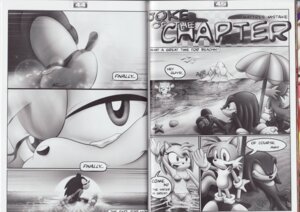 Rating: Safe Score: 0 Tags: absurd_res amy_rose amy_untold anthro beach beach_umbrella bikini bodily_fluids breasts canid canine clothed clothing comic dialogue e621 english_text eulipotyphlan female fox greyscale group hedgehog hi_res island knuckles_the_echidna male mammal miles_prower monochrome multi_tail outside palm_tree parasol plant sand seaside sega shell skimpy sonic_the_hedgehog sonic_the_hedgehog_(series) sunset swimwear tail tc tears text tight_clothing tree two-piece_swimsuit User: bunchy7s