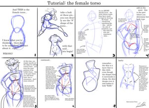 Rating: Questionable Score: 0 Tags: 11:8 anthro artwolfe directional_arrow e621 english_text felid female hand_on_hip how-to mammal signature sketch solo text the_more_you_know torso_shot User: bunchy7s