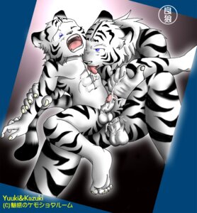 Rating: Explicit Score: 0 Tags: age_difference anal anal_penetration anthro anthro_on_anthro anthro_penetrated anthro_penetrating anthro_penetrating_anthro biped bodily_fluids brother_(lore) brothers_(lore) cum cum_inside cumshot dominant duo e621 ejaculation erection felid foreskin fur genital_fluids genitals incest_(lore) larger_dom larger_male male male/male male_penetrated male_penetrating male_penetrating_male mammal nude older_male orgasm pantherine penetration penile penile_penetration penis penis_in_ass retracted_foreskin ryo_ookami sex sibling_(lore) size_difference smaller_male smaller_penetrated tail tiger white_body white_fur young young_anthro younger_male younger_penetrated User: bunchy7s Rating: Explicit Score: 0 Tags: age_difference anal anal_penetration anthro anthro_on_anthro anthro_penetrated anthro_penetrating anthro_penetrating_anthro biped bodily_fluids brother_(lore) brothers_(lore) cum cum_inside cumshot dominant duo e621 ejaculation erection felid foreskin fur genital_fluids genitals incest_(lore) larger_dom larger_male male male/male male_penetrated male_penetrating male_penetrating_male mammal nude older_male orgasm pantherine penetration penile penile_penetration penis penis_in_ass retracted_foreskin ryo_ookami sex sibling_(lore) size_difference smaller_male smaller_penetrated tail tiger white_body white_fur young young_anthro younger_male younger_penetrated User: bunchy7s
