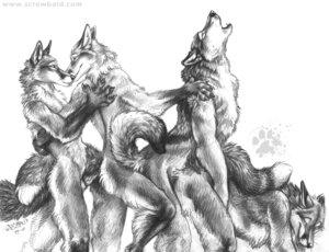 Rating: Explicit Score: 0 Tags: 2007 ambiguous_gender anal anal_penetration animal_genitalia animal_noises anthro anthro_on_anthro anthro_penetrated anthro_penetrating anthro_penetrating_anthro ball balls_deep blotch canid canine canis domestic_dog e621 erection foursome fox genitals group group_sex howl interspecies intraspecies kissing male male/male male_penetrated male_penetrating male_penetrating_male mammal monochrome nude orgasm penetration penis red_fox scratches_volume_1 sex tail tongue tongue_out traditional_media_(artwork) train_position true_fox wolf User: bunchy7s Rating: Explicit Score: 0 Tags: 2007 ambiguous_gender anal anal_penetration animal_genitalia animal_noises anthro anthro_on_anthro anthro_penetrated anthro_penetrating anthro_penetrating_anthro ball balls_deep blotch canid canine canis domestic_dog e621 erection foursome fox genitals group group_sex howl interspecies intraspecies kissing male male/male male_penetrated male_penetrating male_penetrating_male mammal monochrome nude orgasm penetration penis red_fox scratches_volume_1 sex tail tongue tongue_out traditional_media_(artwork) train_position true_fox wolf User: bunchy7s