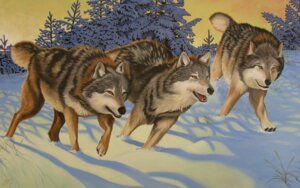 Rating: Safe Score: 0 Tags: ambiguous_gender breath canid canine canis claws colored e621 feral group hi_res mammal northwestern_wolf outside panting running snow sunrise tail unknown_artist wallpaper widescreen winter wolf yellow_eyes User: bunchy7s Rating: Safe Score: 0 Tags: ambiguous_gender breath canid canine canis claws colored e621 feral group hi_res mammal northwestern_wolf outside panting running snow sunrise tail unknown_artist wallpaper widescreen winter wolf yellow_eyes User: bunchy7s