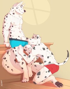 Rating: Explicit Score: 0 Tags: 4_toes 5_fingers abs animal_genitalia anthro arm_support athletic biceps bite black_body black_fur black_nose black_pawpads blue_clothing blue_eyes blue_underwear boxer_briefs briefs bryce_(huttser-coyote) bulge canid canine canis chest_tuft claws clothed clothing clothing_pull crouching dalmatian domestic_dog duo e621 eye_contact fangs feet fingers foreplay fully_sheathed fur genitals grey_body grey_fur grin hi_res hindpaw husky huttser-coyote inside kneeling leaning looking_at_another male male/male mammal markings muscular muscular_male mystikfox61 navel nipples nordic_sled_dog partially_clothed pawpads paws pecs penis plantigrade pose red_clothing red_eyes red_underwear romantic romantic_couple sheath signature smile spitz spots spotted_body spotted_fur standing teeth tiptoes toe_claws toes topless tuft underwear underwear_down underwear_pull white_body white_fur User: bunchy7s