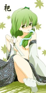 Rating: Questionable Score: 0 Tags: breasts convenient_censoring covering covering_breasts detached_sleeves fan feet female female_only footwear frog green_eyes green_hair hair_over_breasts human ica inaka leaf lowres mountain_of_faith open_clothes open_shirt rule34 sanae_kochiya shirt sitting snake socks solo topless touhou User: bunchy7s