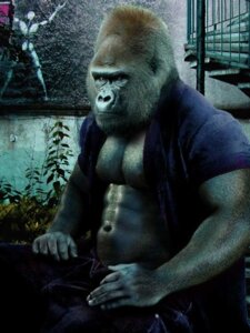 Rating: Safe Score: 0 Tags: abs ape biceps bottomwear clothed clothing denim denim_bottomwear denim_clothing e621 fur gorilla haplorhine jeans male mammal monsterbait muscular muscular_male nipples open_clothing open_shirt open_topwear pants pecs photo_manipulation photomorph primate shirt solo third-party_edit topwear User: bunchy7s Rating: Safe Score: 0 Tags: abs ape biceps bottomwear clothed clothing denim denim_bottomwear denim_clothing e621 fur gorilla haplorhine jeans male mammal monsterbait muscular muscular_male nipples open_clothing open_shirt open_topwear pants pecs photo_manipulation photomorph primate shirt solo third-party_edit topwear User: bunchy7s