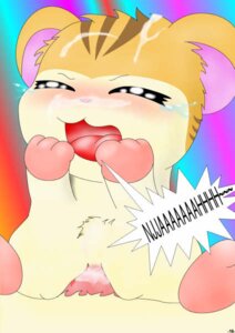 Rating: Explicit Score: 0 Tags: 1boy 1girls comic cum curby dialogue female feral hamster hamtaro_(series) male penis pussy rodent rule34 sandy_(hamtaro) stan_(hamtaro) tears text User: bunchy7s Rating: Explicit Score: 0 Tags: 1boy 1girls comic cum curby dialogue female feral hamster hamtaro_(series) male penis pussy rodent rule34 sandy_(hamtaro) stan_(hamtaro) tears text User: bunchy7s