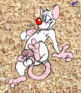 Rating: Explicit Score: 0 Tags: anthro armpit_hair ball_grab ball_tugging balls bodily_fluids body_hair butt digital_media_(artwork) e621 erection feet flaccid foreskin foreskin_penetration foreskin_play genital_fluids genitals hi_res hindpaw house_mouse humanoid_genitalia humanoid_penis lancer_buck_(colorist) male mammal masturbation mouse murid murine nipple_fetish nipple_play nipples nude one_eye_closed partially_retracted_foreskin paws penetration penile penile_masturbation penis pinky_(warner_brothers) pinky_and_the_brain precum prehensile_tail raised_leg rodent sketch solo tail tail_around_balls tail_fetish tail_in_foreskin tail_in_own_foreskin tail_insertion tail_masturbation tail_play tongue tongue_out warner_brothers wink wolfblade User: bunchy7s Rating: Explicit Score: 0 Tags: anthro armpit_hair ball_grab ball_tugging balls bodily_fluids body_hair butt digital_media_(artwork) e621 erection feet flaccid foreskin foreskin_penetration foreskin_play genital_fluids genitals hi_res hindpaw house_mouse humanoid_genitalia humanoid_penis lancer_buck_(colorist) male mammal masturbation mouse murid murine nipple_fetish nipple_play nipples nude one_eye_closed partially_retracted_foreskin paws penetration penile penile_masturbation penis pinky_(warner_brothers) pinky_and_the_brain precum prehensile_tail raised_leg rodent sketch solo tail tail_around_balls tail_fetish tail_in_foreskin tail_in_own_foreskin tail_insertion tail_masturbation tail_play tongue tongue_out warner_brothers wink wolfblade User: bunchy7s
