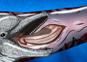 Rating: Explicit Score: 0 Tags: ambiguous_feral ambiguous_gender anatomically_correct animal_genitalia animal_penis anus aquatic avilon blue_background cetacean cetacean_genitalia cetacean_penis dolphin duo e621 erection fellatio feral feral_on_feral gaping_mouth genital_slit genitals licking male male/ambiguous male_(lore) male_feral mammal oceanic_dolphin open_mouth oral penile penis penis_lick penis_on_tongue sex simple_background tapering_penis teeth tongue tongue_out toothed_whale underwater underwater_sex water User: bunchy7s