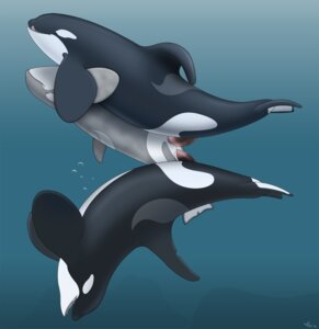 Rating: Explicit Score: 0 Tags: 2012 anal anal_penetration animal_genitalia animal_penis anus aquatic cetacean cetacean_genitalia cetacean_penis dolphin double_penetration e621 erection eyes_closed feral feral_on_feral fully/fully_submerged fully_submerged genital_slit genitals group group_sex hi_res male male/male male_penetrated male_penetrating male_penetrating_male mammal nude oceanic_dolphin orca penetration penile penis sex sex_in_water slit_penetration slit_play tapering_penis tasuric threesome tongue tongue_out toothed_whale trio underwater underwater_sex water User: bunchy7s