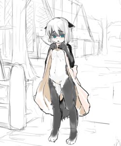 Rating: Explicit Score: 0 Tags: 5:6 anthro biped blue_eyes blush bodily_fluids breasts clothed clothing clothing_lift domestic_cat dress dress_lift e621 embarrassed felid feline felis female flashing genital_fluids genitals hair havemoon loli looking_at_viewer mammal nipples nude outside small_breasts solo standing tail vaginal_fluids vulva white_hair young young_anthro young_female User: bunchy7s