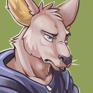 Rating: Safe Score: 0 Tags: 1:1 anthro bloodshot23 bust_portrait displeased e621 frown fur green_background icon kangaroo low_res macropod male mammal marsupial portrait simple_background solo User: bunchy7s