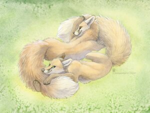 Rating: Safe Score: 0 Tags: 2012 ambiguous_gender canid canine dipstick_tail duo e621 feral fox lying mammal markings on_side outside shinigamigirl tail tail_markings User: bunchy7s